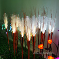 Reeds Fibre Lighting Outdoor Reeds Fiber optic lighting system Supplier